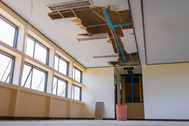 Best Ceiling water damage repair  in The Plains, OH