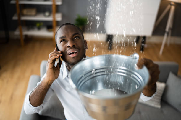 Best 24/7 water damage repair  in The Plains, OH