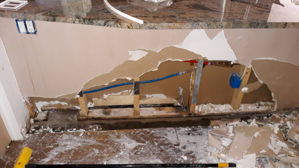 Best Sewage cleanup and water damage restoration  in The Plains, OH