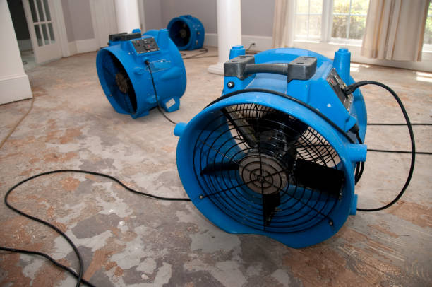 Best 24-hour water damage restoration  in The Plains, OH
