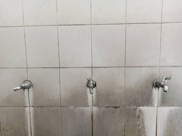 Best Water damage restoration company  in The Plains, OH